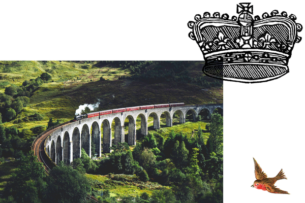 Visibility of all marketing activity for the CMO