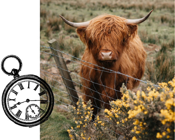 Multiple marketing calendars with lack of visibility into what's in market when