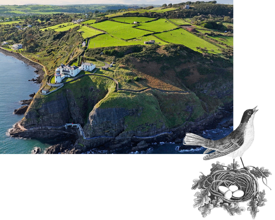 Annums Lead and Nested  Plan structure supports independent division level planning that rolls up to a unified view